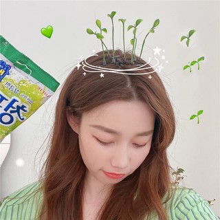 Kẹp Tóc Hình Hạt Đậu Xanh Dễ Thương