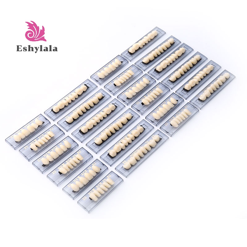 168 CÁI / 6 Bộ Răng Polymer Tổng Hợp Răng Hàm Nhựa [MỚI]