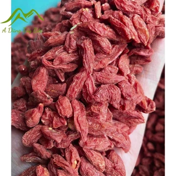 Kỷ tử đỏ mộc Ninh Hạ chính gốc sấy khô (200g, 500g, 1kg). Câu kỷ tử, kỳ tử, kỉ tử đỏ, kì tử đỏ giúp tăng cường miễn dịch