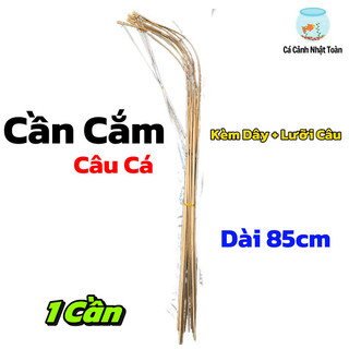 Combo 10 Cần Cắm Câu Cá Lóc, Cá Đồng, trê, ếch, lươn Dài 85cm