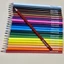 Bút Chì Màu Colormate nhiều màu thân gỗ cao cấp (10 bút chì màu) - TẠP HÓA KR