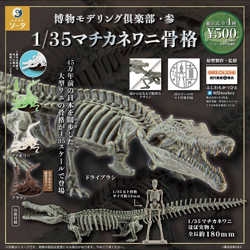 Mô Hình Xương Cá Sấu 6ndu Tỉ Lệ 1 / 35