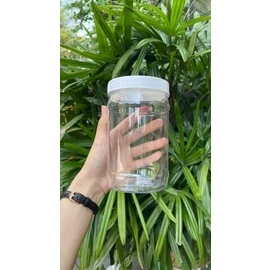 Lốc 12 hũ nhựa nắp trắng Duy Tân