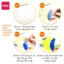 Bút Chì Màu Gốc Nước Dạng Cốc Deli 24/36/48/72 Màu - Tô Vẽ Tranh Cơ Bản Chuyên Nghiệp