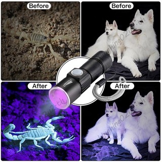 Đèn pin UV 395Nm Đèn pin Blacklight USB Sạc Đèn pin LED Kiểm tra chống nước cho thú cưng Đèn pin nước tiểu