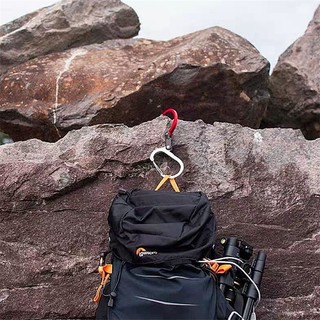 Móc D-type đa năng ngoài trời, carabiner an toàn, tiện lợi du lịch AM0L