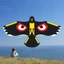 ITRUMPET Fly Bird Diều, Đồ chơi Diều đại bàng phẳng, Thời trang 1,2m Cả hai mắt Chim bay Diều Trẻ em