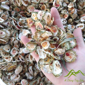 Mướp đắng rừng, khổ qua rừng thái lát sấy khô (500g, 1kg) giúp giảm cân, hạ đường huyết, thanh nhiệt mát gan giải độc