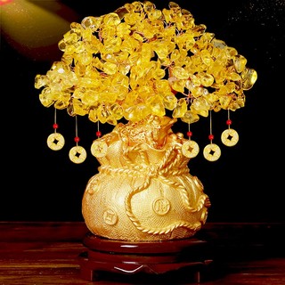 Cây Kim Tiền Phong Thủy – Đá Thạch Anh Myd.23 Hút Lộc Thịnh Vượng