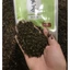 Lục trà lài Royal, olong royal, hồng trà đặc biệt royal tea 500g