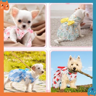 5 Phong Cách Cho Chó Công Chúa Váy Cho Chó Nhỏ Bé Gái Hoa Cún Con Đầm Nơ Dễ Thương Doggie Mùa Hè Trang Phục Quần Áo Cho Yorkie Nữ Mèo Thú Cưng Nhỏ