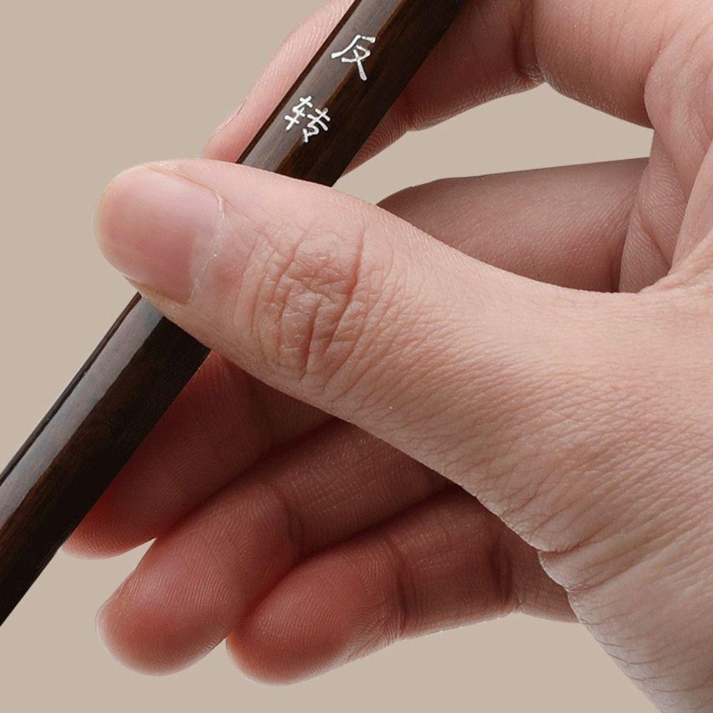 Bàn chải viết kịch bản DELMER, Bàn chải thư pháp Bàn chải sơn nghệ thuật, Tay cầm bằng gỗ chuyên nghiệp Bàn chải thư pháp sắc nét tóc sói Nghệ sĩ