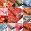 Giấy Origami ZENZON, Giấy cắt giấy họa tiết Sakura Phong cách Nhật Bản, Chất liệu nghệ thuật thủ công Gói giấy gấp 42 * 58cm