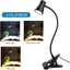 Đèn bàn LED ZENZON, 3 chế độ màu Kẹp đen trên đèn đọc sách, Bảo vệ mắt có thể điều chỉnh 360° Bật đèn LED sạc USB Người lớn