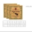 Dây đàn violin sư tử ZENZON King, Bộ dây đàn violin lõi thép V134, Phụ kiện đàn violin Cuộn dây đồng trắng buổi hòa nhạc phổ thông
