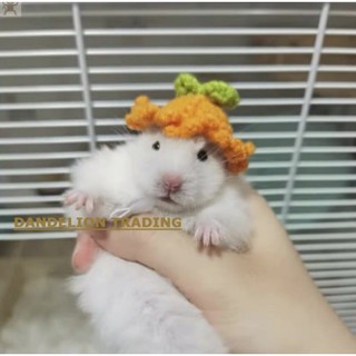 [DANDELION] Mũ Hamster Mũ Vẹt Dệt Kim Mũ Thú Cưng Thằn Lằn Mũ Rắn Thú Cưng Mũ Phong Cách Mới Dệt Tay Hoạt Hình Hình Ếch Mũ Trang Trí Phụ Kiện Ba Chiều Dễ Thương Cho Bé Mini Mũ Thú Cưng