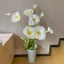 ZENZON Poppies giả, nhánh hoa anh túc chất lượng cao lớn, hoa lụa sang trọng DIY thân dài hoa nhân tạo đám cưới