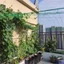 Lưới Trellis BTF Lưới Thiết Bị Sân Vườn Hạng Nặng Lưới Trellis Cho Cây Leo Núi