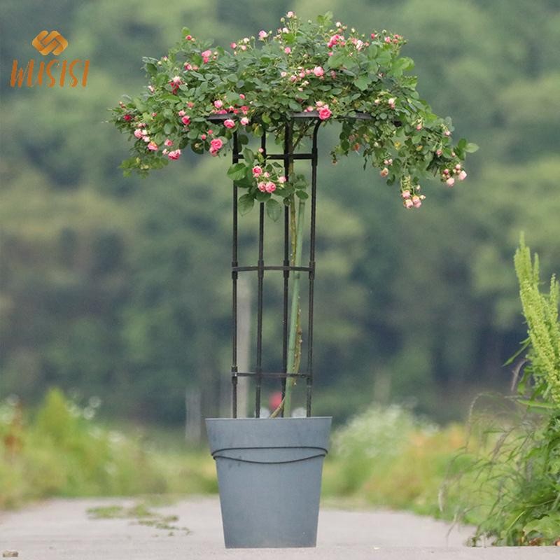 [Wusisi] Giá đỡ leo cho cây, hỗ trợ DIY, chậu hoa, tháp dù, mới
