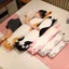 Cat Plush Toy Long Cat Plush Pillow Gối Ôm Nhồi Bông Mềm Mại Hình Chú Mèo Đáng Yêu