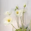 ZENZON Poppies giả, nhánh hoa anh túc chất lượng cao lớn, hoa lụa sang trọng DIY thân dài hoa nhân tạo đám cưới