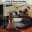 Cọ Vệ Sinh Đĩa Than vinyl / Máy Tính / Máy Ghi Âm lp cd cartridge / Bàn Phím / guitar
