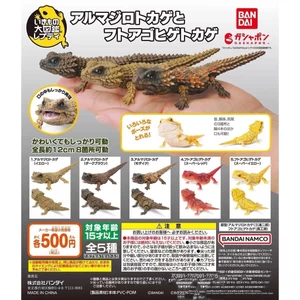 Đồ Chơi Thằn Lằn Sinh Học Bandai Chow