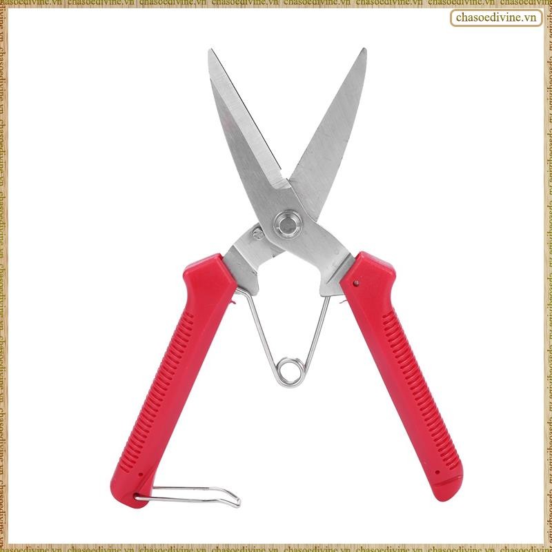 [K O G X] Kéo cắt tỉa tay làm vườn Kéo cắt tỉa cắt tỉa Micro-Tip Cắt tỉa lá Tông đơ cắt hoa thẳng Kéo cho cây