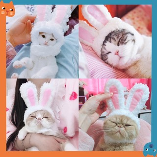 Ấm áp Đầu Mèo Tai Thỏ Mũ Thú Cưng Thịt Cừu Sang Trọng Mũ Mèo Đồ Dùng Cho Thú Cưng