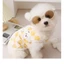 『 HiPiDog 』 Quần áo cho chó Áo len có mũ trùm đầu Trang phục cho chó Thú cưng Quần áo dễ thương nhung hai cánh