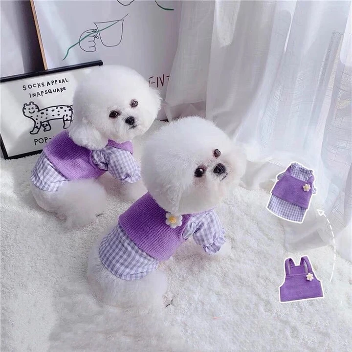 Áo Len Bông Quần Áo Cho Chó Thú Cưng Quần Áo Mèo Hai Mảnh Phù Hợp Với Chó Nhỏ Xuân Thu Quần Áo Mùa Đông Quần Áo Áo Sơ Mi Dễ Thương