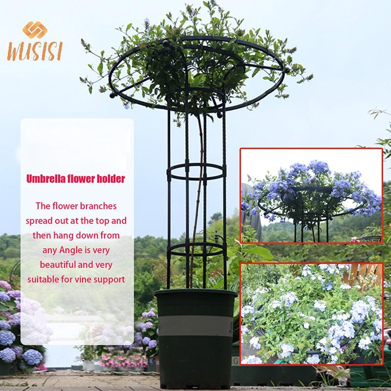[Wusisi] Giá đỡ leo cho cây, hỗ trợ DIY, chậu hoa, tháp dù, mới