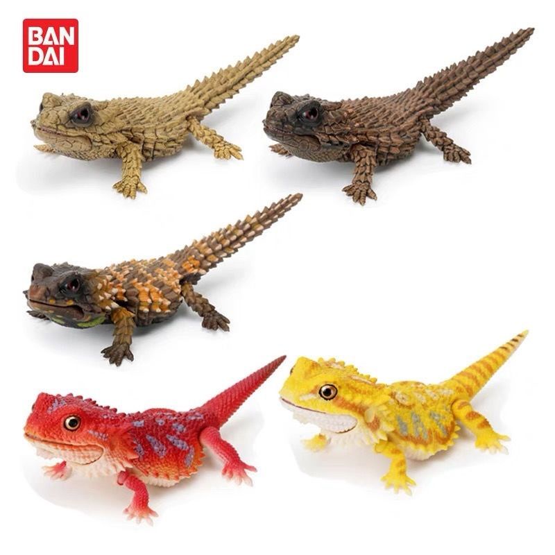 [BTF] Đồ Chơi Thằn Lằn Sinh Học Bandai Chow