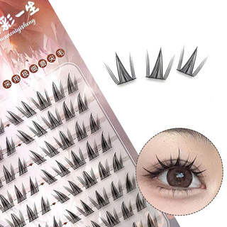 Woman C Curl Eyelash Extension Có thể tái sử dụng Cụm đơn Lông mi giả phân đoạn