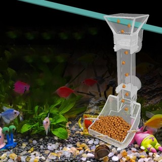 Ống Cho Cá Ăn Bằng acrylic Trong Suốt Tiện Dụng