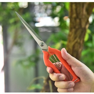 Jkdesign Kéo cắt tỉa vườn, Dụng cụ làm vườn mỏng Miếng dán rau củ, Dụng cụ cầm tay chuyên nghiệp Kéo cây cảnh bằng thép không gỉ