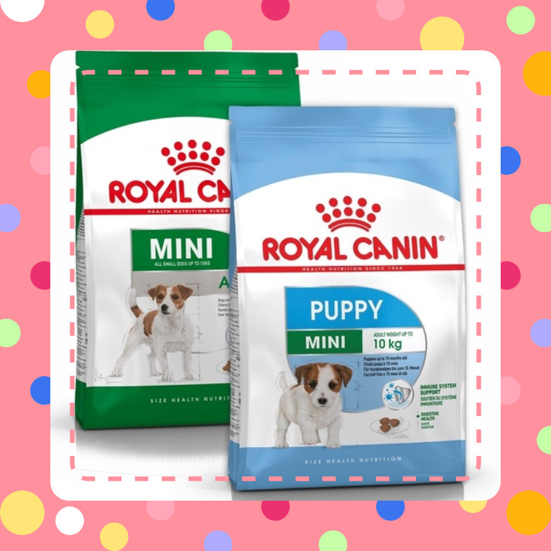 Hạt chó Royal Canin mini Puppy/ Mini Adult bao 8kg-Chubby Mew