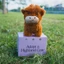 YOLOGO Highland Cow Legend Plushie, Đồ chơi sang trọng Fluffy Bull Fluffy Highland Cow Soft Toy, Búp bê động vật nhồi bông thực tế dễ thương