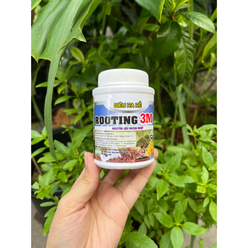 Kích rễ - Ra rễ cực mạnh Rooting 3M (Thidico) - Hủ 100gr ! | Shopee ...