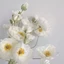 ZENZON Poppies giả, nhánh hoa anh túc chất lượng cao lớn, hoa lụa sang trọng DIY thân dài hoa nhân tạo đám cưới
