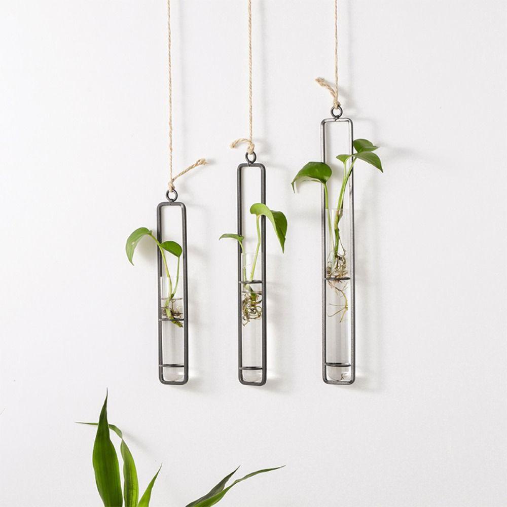 Bình ống nghiệm JUNYUE88US, Bình thủy tinh treo tường trong suốt treo tường, Hộp trồng cây bằng thủy tinh Bắc Âu Bình thủy tinh dày Cây xanh