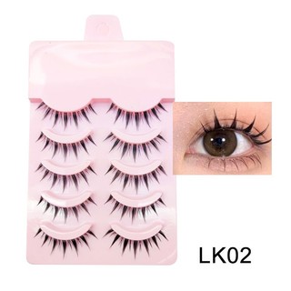 Lông mi giả hộp hồng 5 cặp Dingsen trang điểm tự nhiên hàng ngày HaminStore