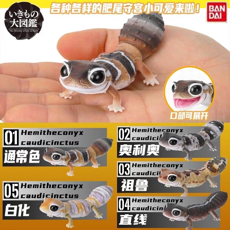 [Btf] Hàng có sẵn Bandai Fat Tail Gecko Oreo Straight Line Zulu Whitening Trendy Play Trang trí viên nang Đồ chơi mô phỏng động vật ZVFY