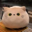 CAST Black Cat Plush Gối, Phim Hoạt Hình Đầu Mèo 10 / 30CM Cuddly Gối Đệm Búp Bê, Ins Plushie Đồ Chơi Nhồi Bông Cô Gái