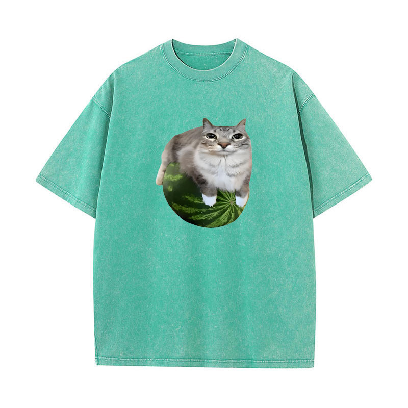 Áo thun Cat Silly Cat Meme in dưa hấu sang trọng, cổ điển, unisex nam nữ