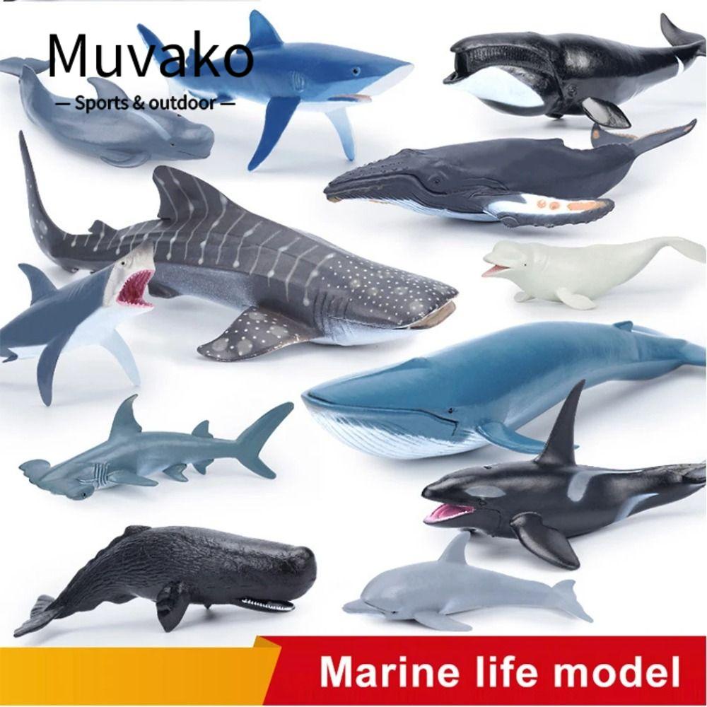 Muvako Mô Hình Cá Voi / Cá Heo / Búa Đầu Cá Mập Bằng Nhựa PVC Đồ Chơi Giáo Dục Cho Bé