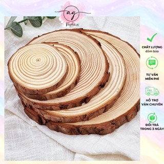 [Phụ kiện làm cây thông Noel] Lát gỗ, khoanh gỗ trang trí nhiều kích thước dùng để trang trí, phụ kiện chụp ảnh AG