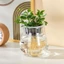 Hộp đựng thực vật thủy sinh THEGIRL8B, Chậu hoa thủy canh đứng trên sàn trong suốt, Bể cá Mini Tự tưới nước Văn phòng nhựa đơn giản