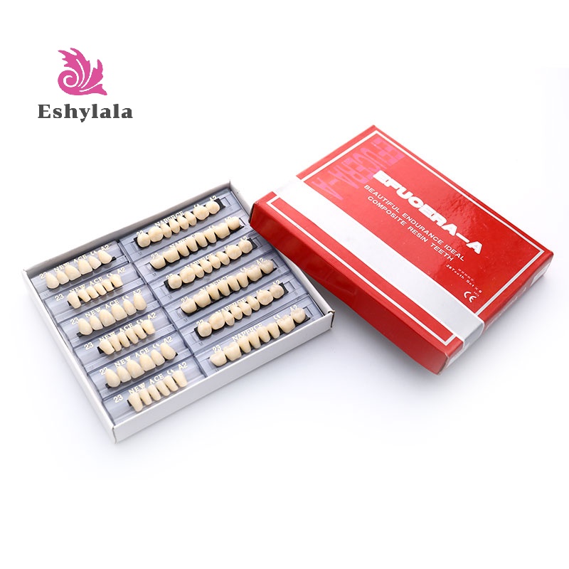 168 CÁI / 6 Bộ Răng Polymer Tổng Hợp Răng Hàm Nhựa [MỚI]