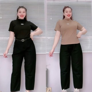 Áo thun tay ngắn cổ trụ bigsize nữ dáng vừa ôm tôn dáng đơn sắc gân tăm basic dễ mặc thoải mái G234